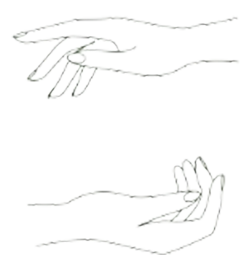 Approche corporelle et énergétique en naturopathie