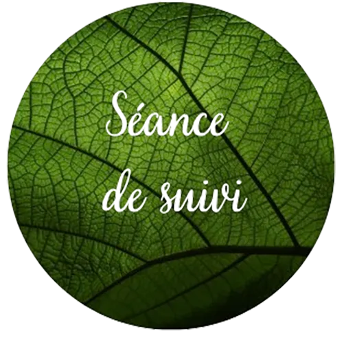 Séance de suivi de naturopathie à Savenay