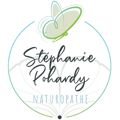 logo naturopathe à Prinquiau, accompagnement bien-être