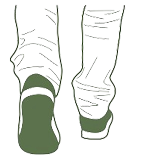 Accompagnement en naturopathie à Savenay