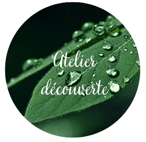 atelier découverte de la naturopathie à Prinquiau