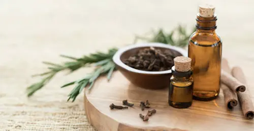 Utilisation des plantes en accompagnement naturel